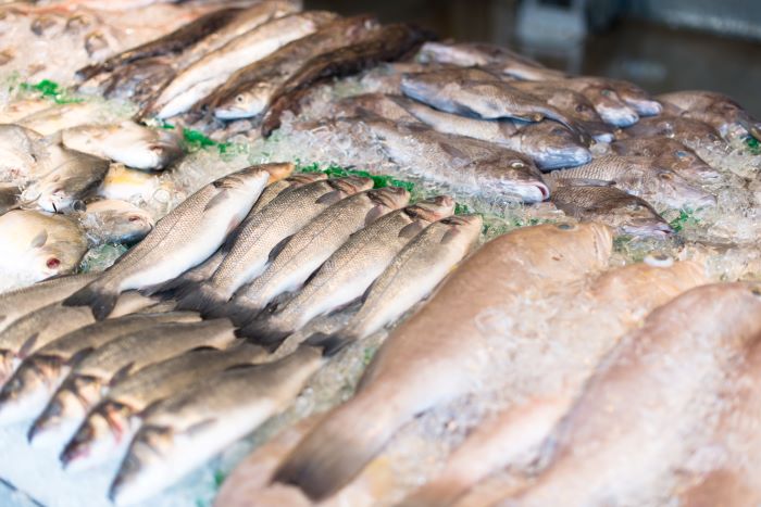Deutschland importiert mehr Fisch